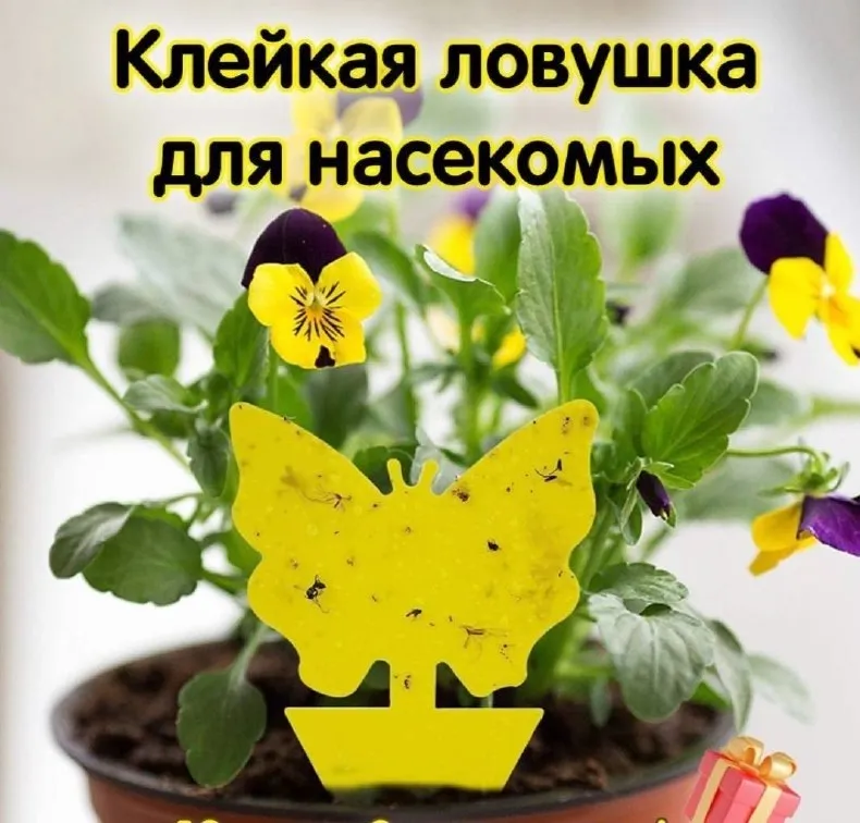  Клейкая ловушка для насекомых 10 в упаковке 